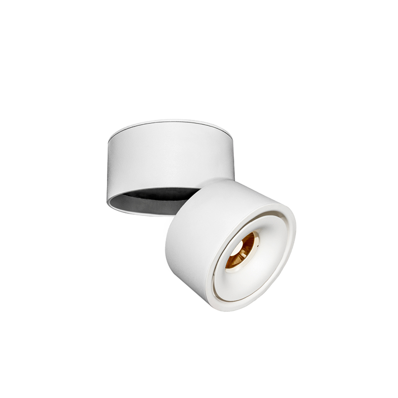 Downlight - PANKA - Downlight saillie orientable