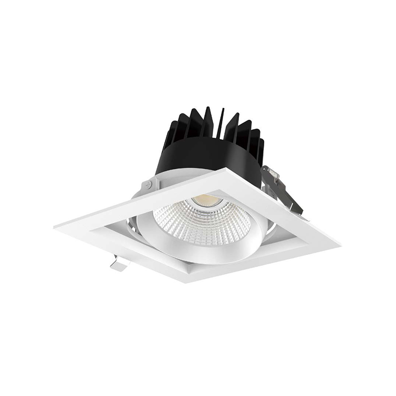 Downlight - SCOTT S - Downlight fixe option orientable