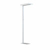 Luminaire sur pied - TAHITI - Luminaire de bureau sur pied éclairage up/down