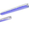 Luminaire inactinique - INACTINI BLUE - Luminaire inactinique bleu