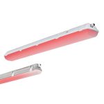 Luminaire inactinique - INACTINI RED - Luminaire inactinique rouge